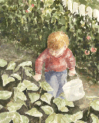 Aaron In The Garden, watercolor painting by Jeanne Eickhoff, © 2007 All Rights Reserved